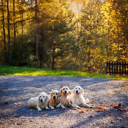 štvrtá Voda - Jánska Liptovský Ján